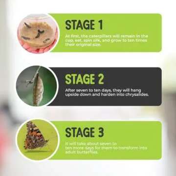 Live Butterfly Growing Kit with 5 Caterpillars and Extras