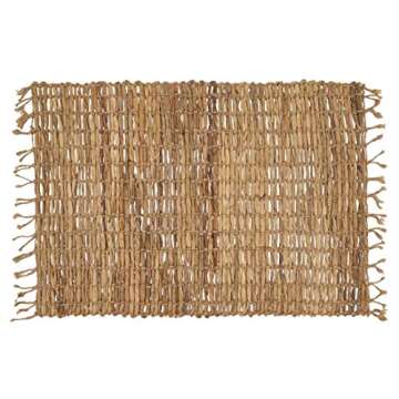 Fennco Styles Water Hyacinth Placemats Set of 4 for Dining