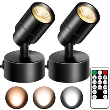 FZWLE Dimmable Spot Lights with Remote Control & Timer