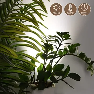 FZWLE Dimmable Spot Lights with Remote Control & Timer