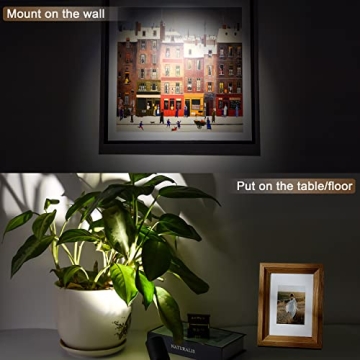 FZWLE Dimmable Spot Lights with Remote Control & Timer