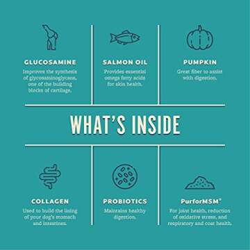 10 in 1 Dog Multivitamin with Glucosamine & PurforMSM - Daily Dog Vitamins for Hip & Joint, Skin & Coat, Digestion, Brain Health - Contains Salmon Oil, Chicken Collagen, Probiotics & More - 90 Chews