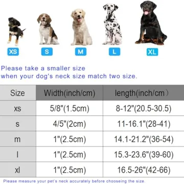 Stylish DOGWONG Valentine Dog Collar for Any Dog