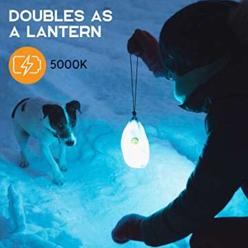 Power Practical Luminoodle with Battery, 5 feet