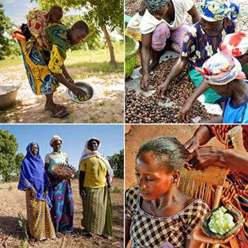 Miibox 100% Raw Unrefined Organic Shea Butter-African Grade A Ivory 1 Pound (16oz)