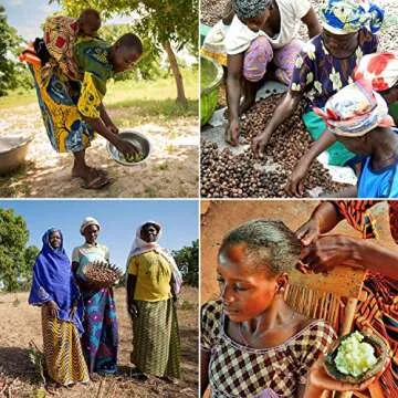 Miibox 100% Raw Unrefined Organic Shea Butter-African Grade A Ivory 1 Pound (16oz)