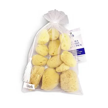 Natural Sea Silk Sponges 12pk - Perfect for Makeup, Facial Cleaning, Eco-Friendly and Multi-Use
