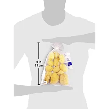 Natural Sea Silk Sponges for Makeup, 12pk by Constantia Beauty