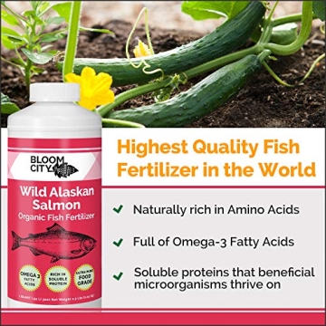 Organic Wild Salmon Emulsion Fertilizer by Bloom City Quart