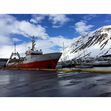 Icelandic+ Large Cod Skin Dog Treats for Healthy Pets