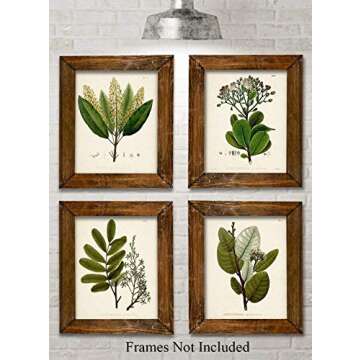 Botanical Wall Art - Set of Four Sage Wall Art Prints, Vintage Botanical Prints (8x10) Unframed - Sa...