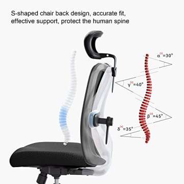 SIHOO Ergonomic Office Chair with Mesh & TPU Armrests - Black