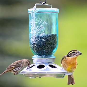 Perky-Pet Mason Jar Wild Bird Feeder