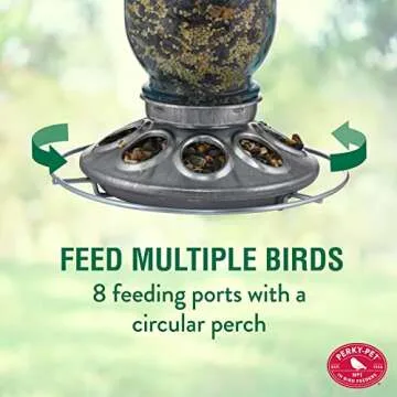 Perky-Pet Mason Jar Wild Bird Feeder