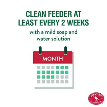 Perky-Pet Mason Jar Wild Bird Feeder