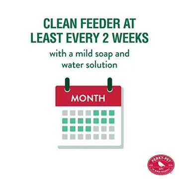 Perky-Pet Mason Jar Wild Bird Feeder