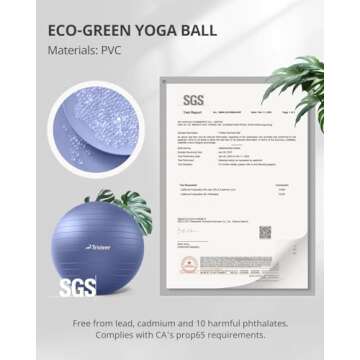 Trideer Yoga Ball - Exercise Ball for Workout pilates Stability - Anti-Burst and Slip Resistant for physical therapy, Birthing, Stretching & Core Workout, Office Ball Chair, Flexible Seating, Home Gym