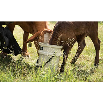 Durable YETI LoadOut 5-Gallon Bucket for All Uses