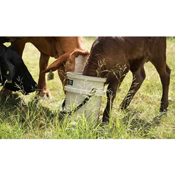 Durable YETI LoadOut 5-Gallon Bucket for All Uses