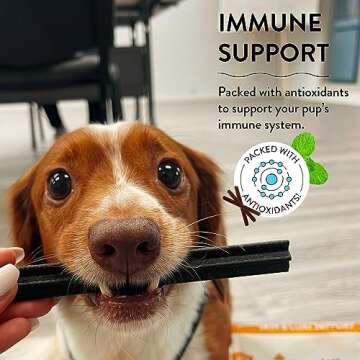 Shameless Pets Dental Sticks for Dogs - Healthy & Delicious