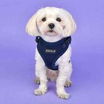 Authentic Puppia RiteFit Harness with Adjustable Neck, Navy, Large