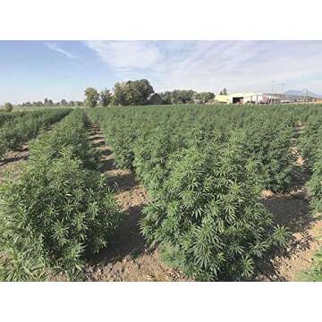 Compost Tea Aerator - The BubbleSnake : 5 Gallon Bucket Aerator