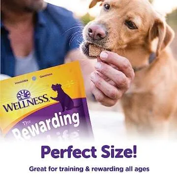Wellness Rewarding Life Grain-Free Soft Dog Treats, Made in USA with Healthy Ingredients, Ideal for Training (Turkey & Duck Recipe, 6-Ounce Bag)