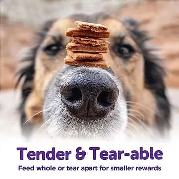 Wellness Rewarding Life Grain-Free Soft Dog Treats, Made in USA with Healthy Ingredients, Ideal for Training (Turkey & Duck Recipe, 6-Ounce Bag)