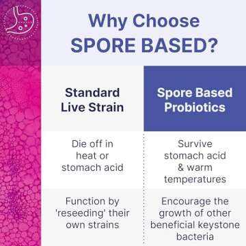 Microbiome Labs MegaSporeBiotic Probiotics for Women & Men - Spore Based Probiotic Nutritional Supplements for Digestive & Gut Health Support - Shelf Stable & Travel-Friendly (180 Capsules)