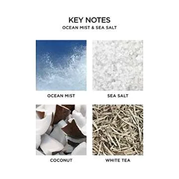 NEST Ocean Mist Reed Diffuser Refill for Lasting Aroma