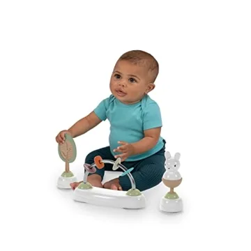 Ingenuity Foldable Baby Walker with Removable Toys