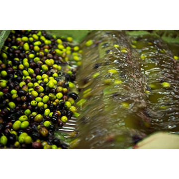 Premium Ligurian Italian Extra Virgin Olive Oil 16.9 fl oz