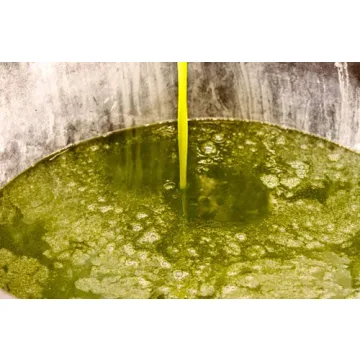 Premium Ligurian Italian Extra Virgin Olive Oil 16.9 fl oz