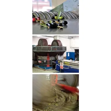 Premium Ligurian Italian Extra Virgin Olive Oil 16.9 fl oz