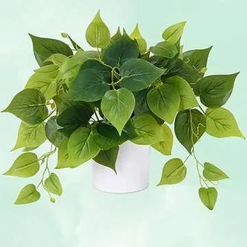 Waipfaru Faux Plants Indoor with Plastic Pots, Realistic Small Fake Plants, Fake Plants with Pothos, Fake Potted Plants, Artificial Plant for Home Shelf Bathroom Kitchen Office Indoor Outdoor Decor