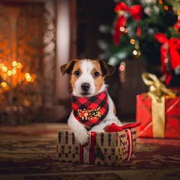 2 Pack Dog Bandana Christmas for Puppy Small Medium Large Dogs Cats Pets Outfit Classic Plaid Pets Scarf Triangle Bibs Merry Christmas Bandana Santa Costume Accessories (Gold)