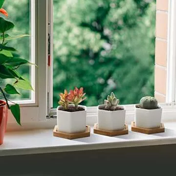 T4U Small White Succulent Planter Pots with Bamboo Tray Hexagon Set of 2, Geometric Ceramic Cactus Plant Holder, Succulent Plant Gifts for Gardener Women Coworker, Home Office Table Desk Decoration