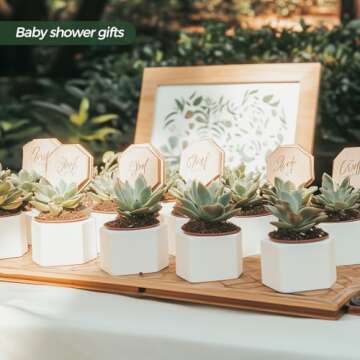 T4U Small White Succulent Planter Pots with Bamboo Tray Hexagon Set of 2, Geometric Ceramic Cactus Plant Holder, Succulent Plant Gifts for Gardener Women Coworker, Home Office Table Desk Decoration