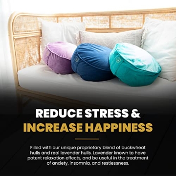 Ajna Velvet Buckwheat Meditation Cushion with Carry Bag