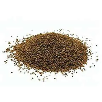 Alfalfa Sprouting Seed, NON GMO -12 Oz -Country Creek LLC Brand - High Sprout Germination- Edible Seeds, Gardening, Hydroponics, Growing Salad Sprouts, Planting, Food Storage & More