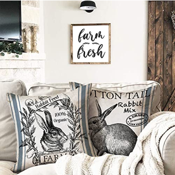 Charming Vintage Bunny Throw Pillow Covers 18 inch Set of 2