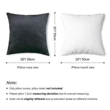 HOMAR Velvet Throw Pillow Covers 20x20 Soft Decorative Throw Pillow Cases Solid Square Pillow Cover Set of 2 for Sofa Bedroom Couch Bed Chair
