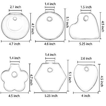 yarlung Set of 6 Glass Planters Wall Hanging Terrarium, Clear Plants Vase Wall Mount for Propagating Hydroponics Plants, Indoor Air Plants, Stylish 6 Shapes (Plants Not Included)