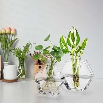 yarlung Set of 6 Glass Planters Wall Hanging Terrarium, Clear Plants Vase Wall Mount for Propagating Hydroponics Plants, Indoor Air Plants, Stylish 6 Shapes (Plants Not Included)