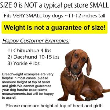 Pandaloon Dog Halloween Costume - As Seen on Shark Tank - Patented - Funny Costume with Arms for Small and Medium Dogs and Cats (Bunny, Size 0(11-12 in Height at TOP of Head, Girth<16in))