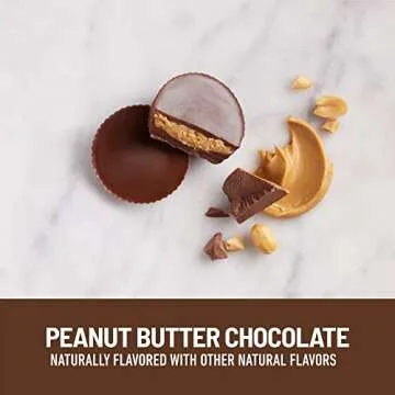 SlimFast Chocolate Snacks Keto Friendly & Delicious Treat