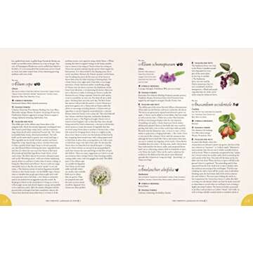 The Complete Language of Food: A Definitive and Illustrated History (Volume 10) (Complete Illustrated Encyclopedia, 10)