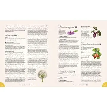 The Complete Language of Food: A Definitive and Illustrated History (Volume 10) (Complete Illustrated Encyclopedia, 10)