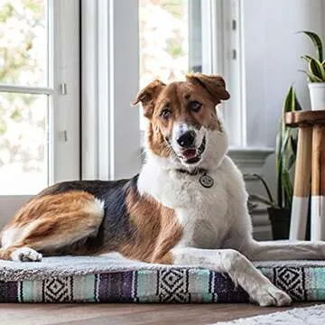 QALO Silicone Pet ID Tags: Personalized & Durable