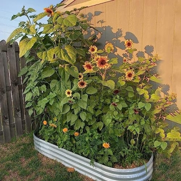ENJOYBASICS 4x2 Galvanized Raised Garden Bed for All Ages